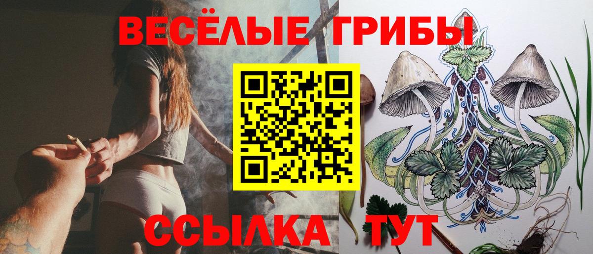 Георгиевск  Галлюциногенные грибы Cubensis  купить закладку  Вход с VPN 